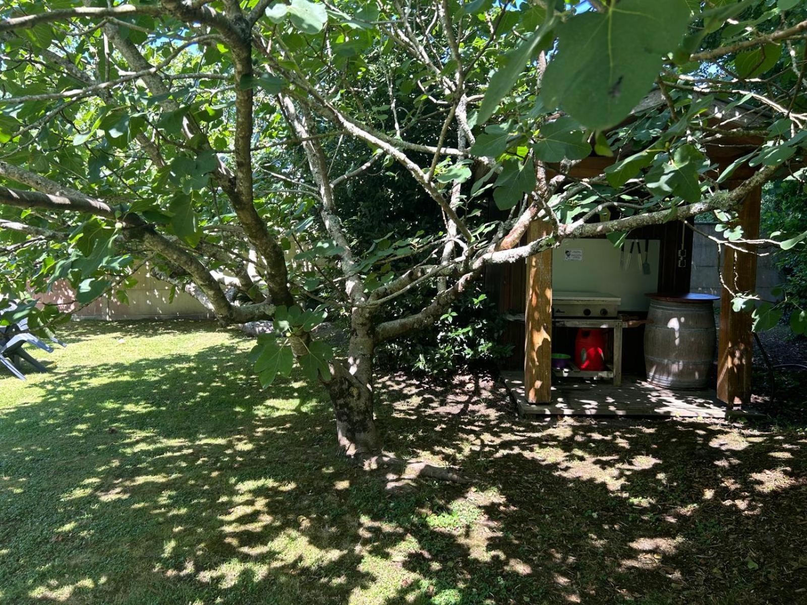 Jolie Maison Le Teich Bassin Park/Wifi Exterior foto